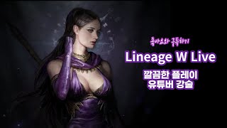 리니지W/天堂W BaoTeam 왕캔법사 10층 완부 성…