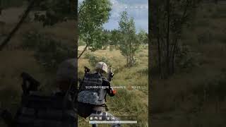 야생의 치코리타!  효과는 뛰어났다고 한다. #서든어택…