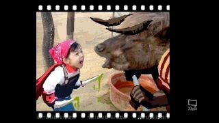 부두송 와우wow 월드오브워크래프트 강추 온라인 게임