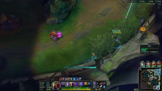 리그 오브 레전드