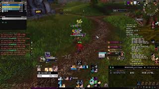 와우 클클래식 고통흑마 27렙업중