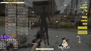 Mindori 배틀그라운드