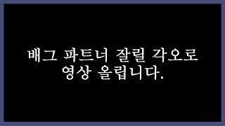 파트너 달고 대놓고 티밍했습니다 죄송합니다 배틀그라운드