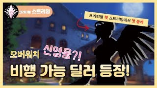 크리티컬 스트리밍 오버워치 신영웅 비행 가능 딜러 등장