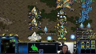 [얍얍] 차도르컵 룩삼팀 연습ㅣ스타크래프트ㅣ 25.07…