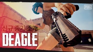 신규 총기  디글Deagle  배틀그라운드