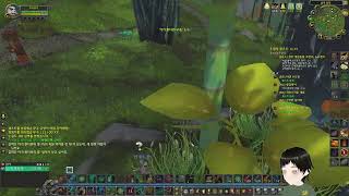 35.(25.08.16) 월드오브워크래프트 판다리아 클…