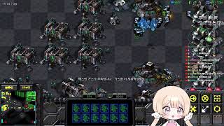 김쵸아  스타 빨무 팀플  스타크래프트   (25.08.30)