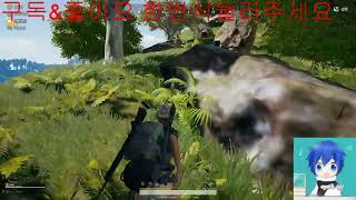 생실시간유튜브 너랑나tv 배틀그라운드 카배시참컨테츠