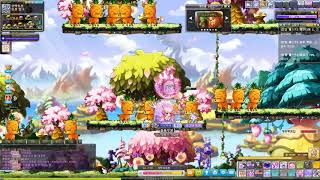 메이플 호영호영