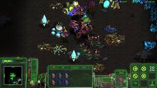 스타크래프트 브루드워 캠페인 저그 10