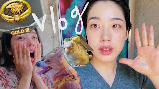 223 Vlog I 서든어택 승급전 I 휴무 브이로그 …