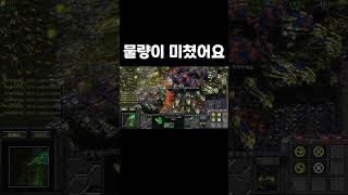 역대급 공중 물량전 #shortsvideo #shortsindia #starcraft