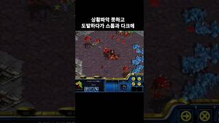 상황파악 못하고 도발하다가 스톰과 다크에 #스타크래프트 #프로토스 #래더 #다크템플러