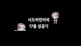 [메이플스토리] 시드 어린이의 17층 성공기!
