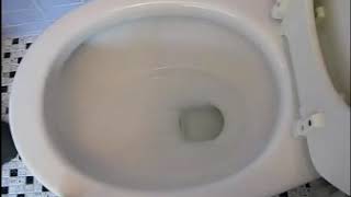 WOW WOW WUBBZY FLUSHING