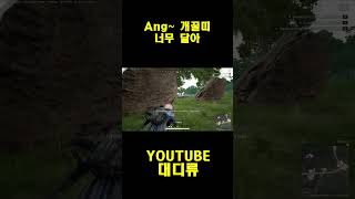 [배틀그라운드] 앙 개꿀띠 배린이들 너무 달아 #pub…