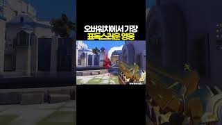 표독스러움 만렙 오버워치 힐러 영웅