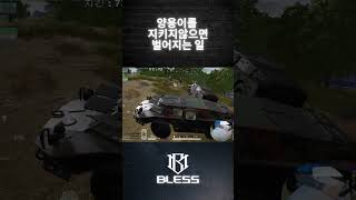 양용이를 꼭 지키세요 ^_^ #배그 #배틀그라운드 #쇼츠#pubg #shorts