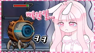 [메이플] 깔끔한 원킬사냥 하고싶어 !!  테라버닝 아델 카루타 육성기 5화