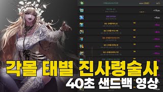 [던전앤파이터] 한계세트 진사령술사 40초 샌드백
