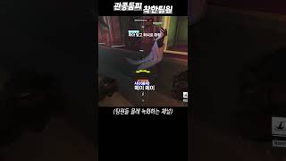 둠피스트는 항상 관심이 고프다 #오버워치2 #overw…