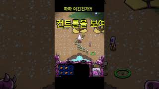 스타크래프트 초보들의 대결,전진 게이트와 9드론으로 시작된 혼돈.