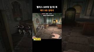 펠리스 B부대 앞/뒤 폭 【서든어택】