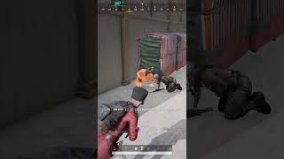 내가 본건 걔가 아니야 #pubg #배그 #배그가즐겁다…
