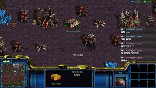 스타크래프트 오리지널 프로토스캠페인