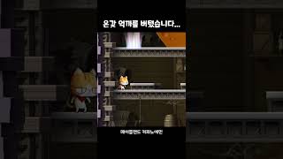 [메이플랜드] 나는 고양이가 밉다