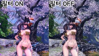 블소를 좀 더 쾌적하게,아름답게 플레이 해보자 그래픽설…