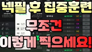 피파 11차 넥필 후 집중훈련 무조건 이렇게 찍으세요!! 안 보시면 손해봅니다!!