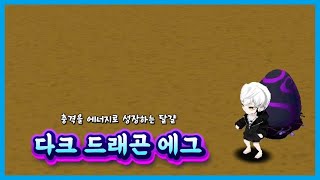 [고급 분석] 다크 드래곤 에그
