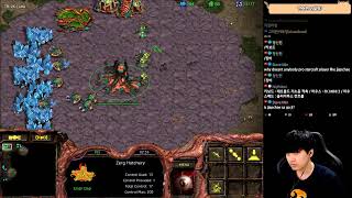 스타크래프트 짭제TV 천상계플레이갑니다