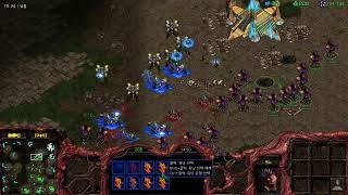 [21.02.03] 스타크래프트 A저그 래더~