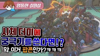 산처럼 쌓인 시체 더미에 모든 영웅의 궁극기를 사용해봤…