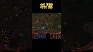 스타크래프트 러커 부대 돌진