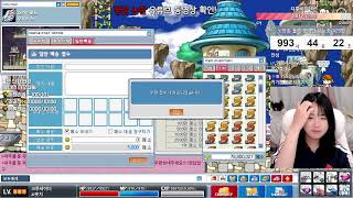 메이플랜드 150 크루세이더! 주말 기념 망둥망둥이~