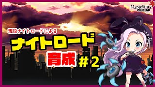 【メイプルストーリー】現役ナイトロードによるナイトロード育成#2【MapleStory】【메이플스토리】
