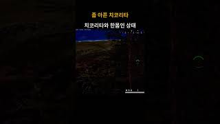 좀 아픈 치코리타  #배틀그라운드 #playerunkn…