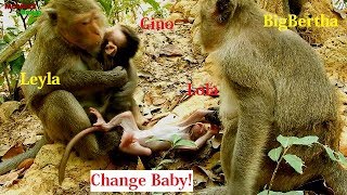 WOW Change baby monkey nursing Gino amp Lola So loovely both baby monkeys