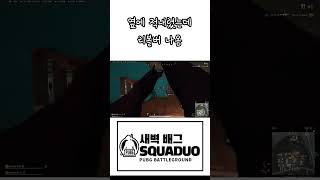 배린이 괴롭히는 새벽배그인 .... #배틀그라운드 #배…