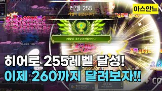 [메이플스토리] 히어로 레벨 255에 달성! 이제 260까지 달려봅시다!