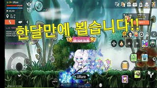 [메이플스토리M] 계정정지 풀렸습니다! 긴 한달이였네요..