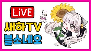 [블소네오] 장수말벌 날아오르나요?? 진혼서버통합. 분…