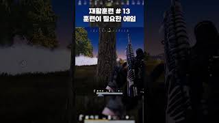 훈련이 필요한 에임 #pubg #배그 #배틀그라운드