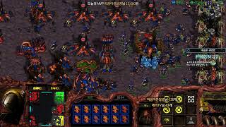 [꾸르트 생방송 Live] 빨무 스타 스타크래프트 팀플 (2021-06-17 목요일)