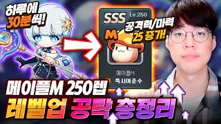 메이플M 250렙 그냥 따라하세요!! [메이플스토리M,…