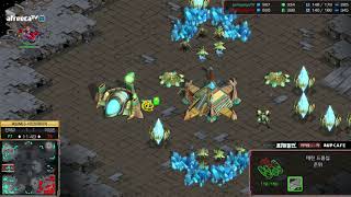 스타크래프트 BJ멸망전 8강 3경기 3라운드 조커매치 출발다린팀 vs 또조암흑